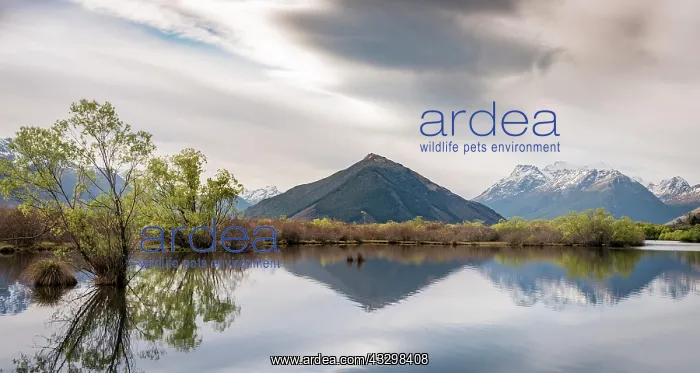 : Glenorchy lagoon, at back mountains, Glenorchy : Glenorchy lagoon, at back mountains, Glenorchy