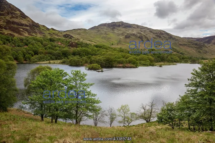 : Glentool - Galloway Forest Park - Scotland - UK : Glentool - Galloway Forest Park - Scotland - UK