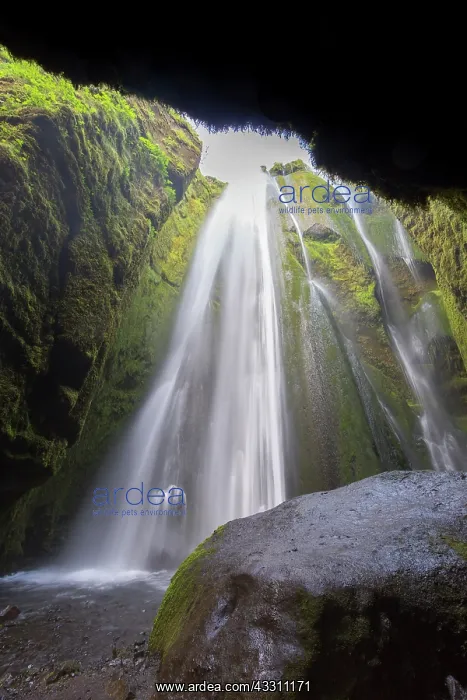 : Gljufrabui waterfall hidden inside a gorge - Iceland : Gljufrabui waterfall hidden inside a gorge - Iceland