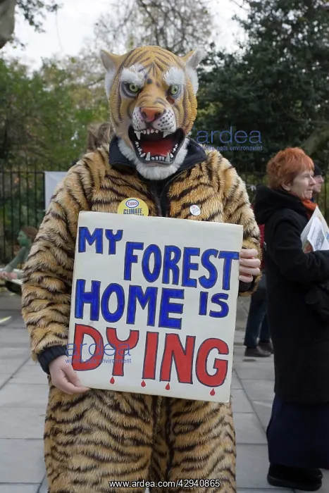 : Global Warming - Campaigners in tiger costume protesting : Global Warming - Campaigners in tiger costume protesting