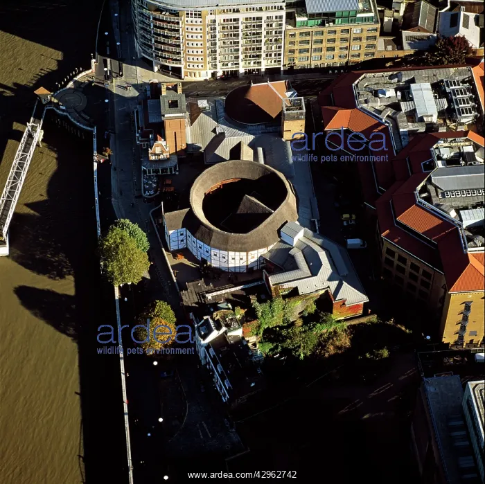  : Globe Theatre (Shakespeare's Globe) and the River Thames