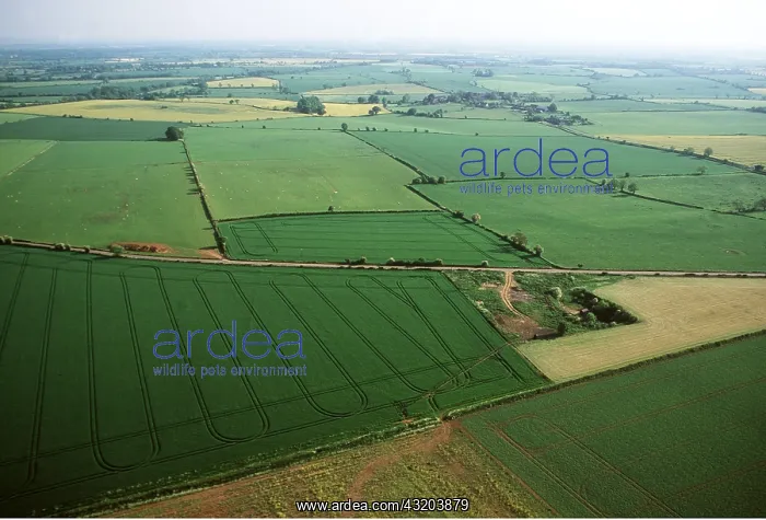 : GLOUCESTERSHIRE - Aerial view of fields : GLOUCESTERSHIRE - Aerial view of fields