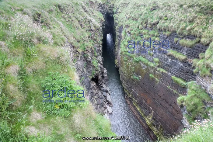 : The Gloup a collapsed sea cave : The Gloup a collapsed sea cave