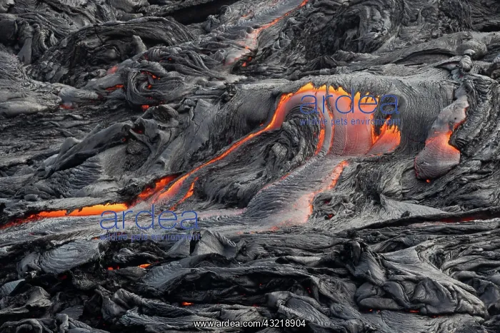 : Glowing lava, lava flow, Fagradalsfjall table volcano : Glowing lava, lava flow, Fagradalsfjall table volcano