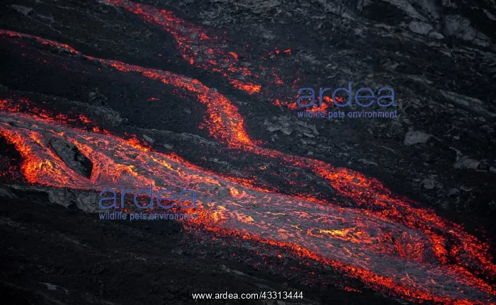 : Gluhende Lava, Lavastrom, Lavafeld, aktiver Tafelvulkan : Gluhende Lava, Lavastrom, Lavafeld, aktiver Tafelvulkan