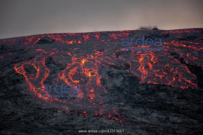 : Gluhende Lava, Lavastrom, Lavafeld, aktiver Tafelvulkan : Gluhende Lava, Lavastrom, Lavafeld, aktiver Tafelvulkan