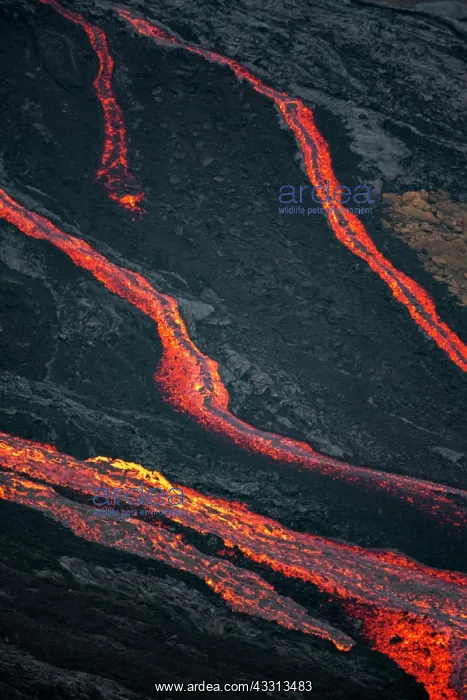 : Gluhende Lava, Lavastrom, Lavafeld, aktiver Tafelvulkan : Gluhende Lava, Lavastrom, Lavafeld, aktiver Tafelvulkan