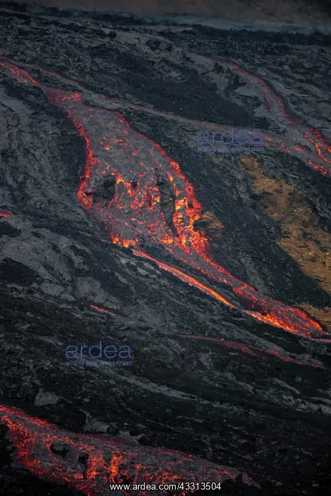 : Gluhende Lava, Lavastrom, Lavafeld, aktiver Tafelvulkan : Gluhende Lava, Lavastrom, Lavafeld, aktiver Tafelvulkan
