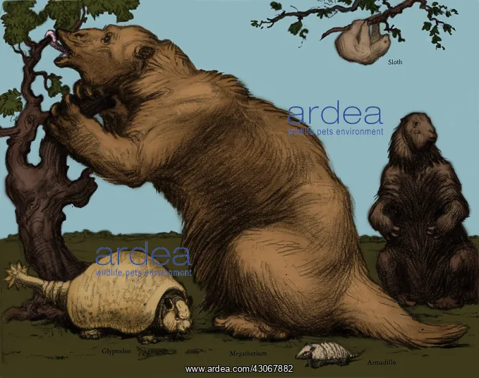 : Glyptodon and Megatherium, Extinct Fauna : Glyptodon and Megatherium, Extinct Fauna