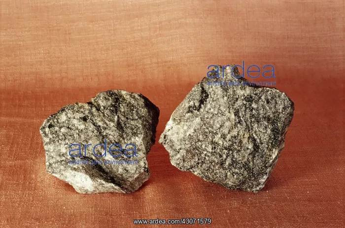 : Gneiss, a metamorphic rock with coarse banding : Gneiss, a metamorphic rock with coarse banding