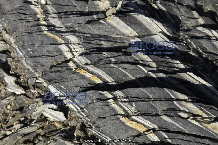 : Gneiss, banded metamorphic rock similar to granite : Gneiss, banded metamorphic rock similar to granite