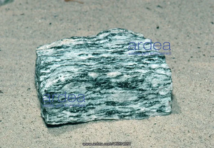 : Gneiss, a metamorphic rock : Gneiss, a metamorphic rock