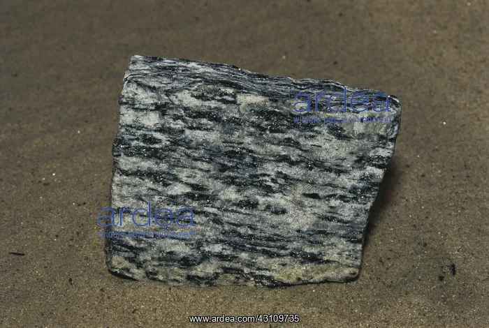 : Gneiss, a metamorphic rock formed by high temperature and pressure : Gneiss, a metamorphic rock formed by high temperature and pressure