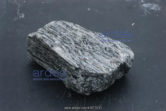 : Gneiss, a metamorphic rock : Gneiss, a metamorphic rock