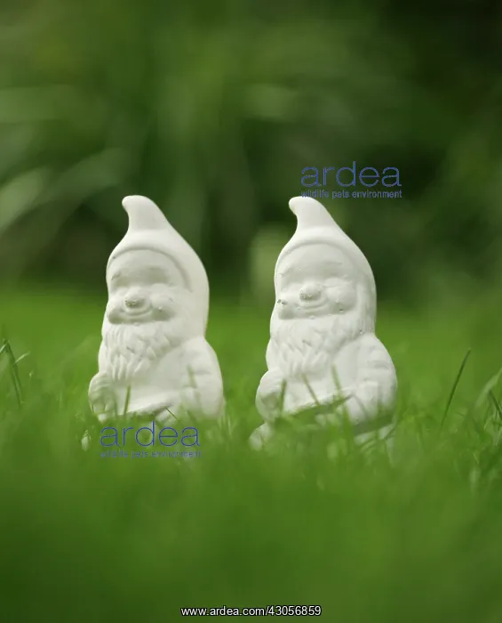 : Gnome : Gnome