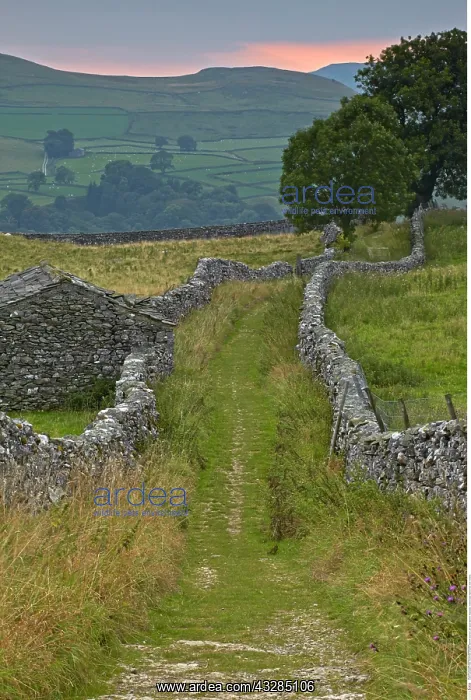 : Goat Scar Lane above Stainforth, Ribblesdale, Yorkshire : Goat Scar Lane above Stainforth, Ribblesdale, Yorkshire