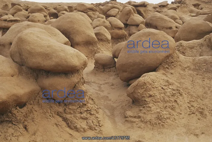 : Goblin Valley State Park : Goblin Valley State Park