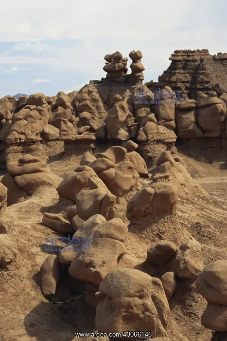 : Goblin Valley, Utah : Goblin Valley, Utah