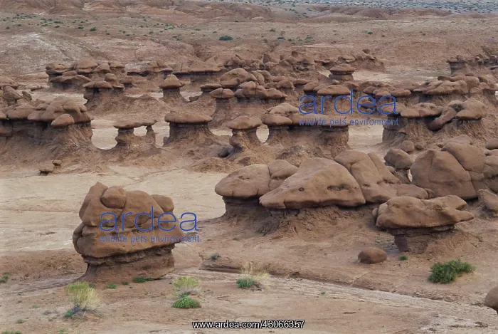 : Goblin Valley, Utah : Goblin Valley, Utah