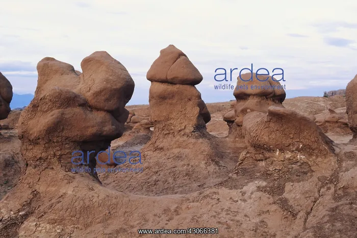 : Goblin Valley, Utah : Goblin Valley, Utah