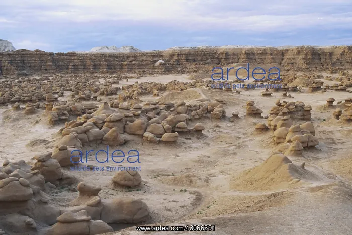 : Goblin Valley, Utah : Goblin Valley, Utah