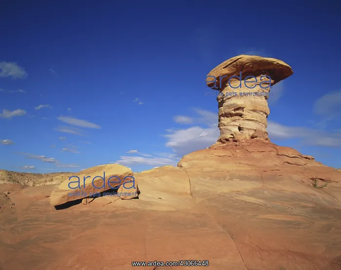: Goblin Valley, Utah : Goblin Valley, Utah