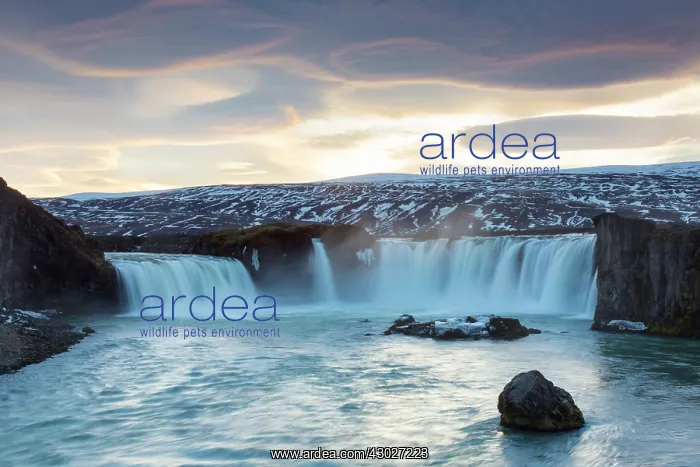 : The Godafoss is one of the most spectacular waterfalls : The Godafoss is one of the most spectacular waterfalls