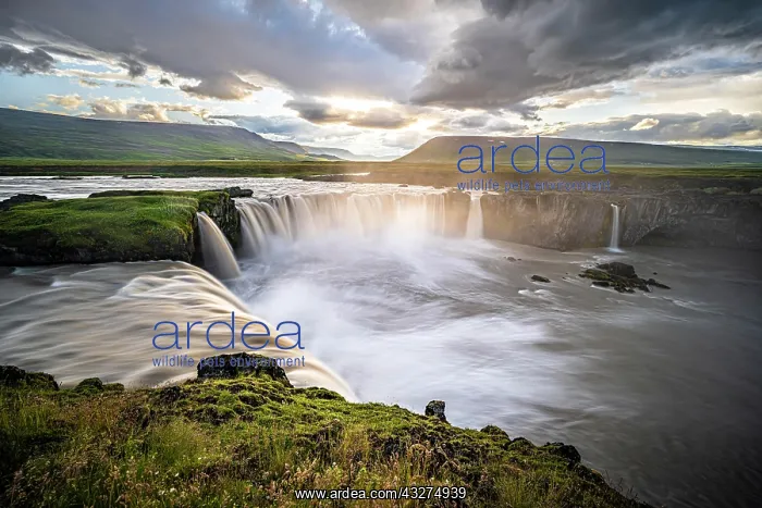 : Godafoss Waterfall in Summer, Skjalfandafljot River : Godafoss Waterfall in Summer, Skjalfandafljot River