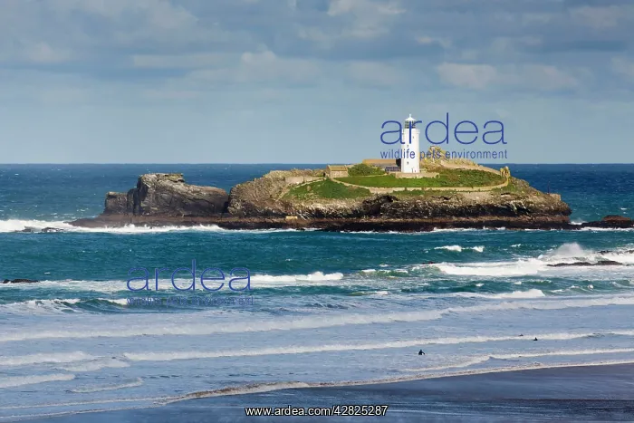 : Godrevy. Cornwall - UK : Godrevy. Cornwall - UK
