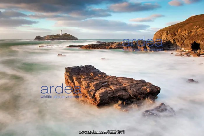  : Godrevy Island