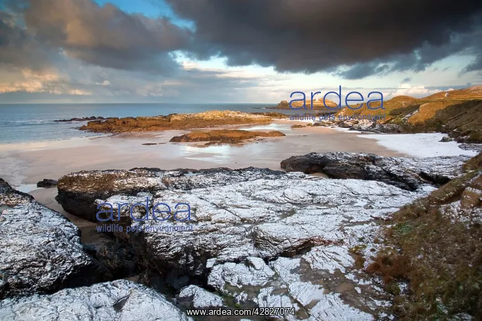 : Godrevy - Lighthouse and island - in snow : Godrevy - Lighthouse and island - in snow