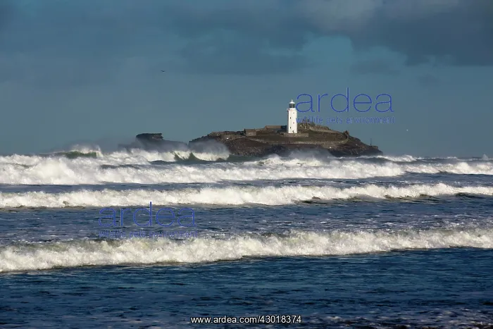 : Godrevy Lighthouse in winter storm : Godrevy Lighthouse in winter storm