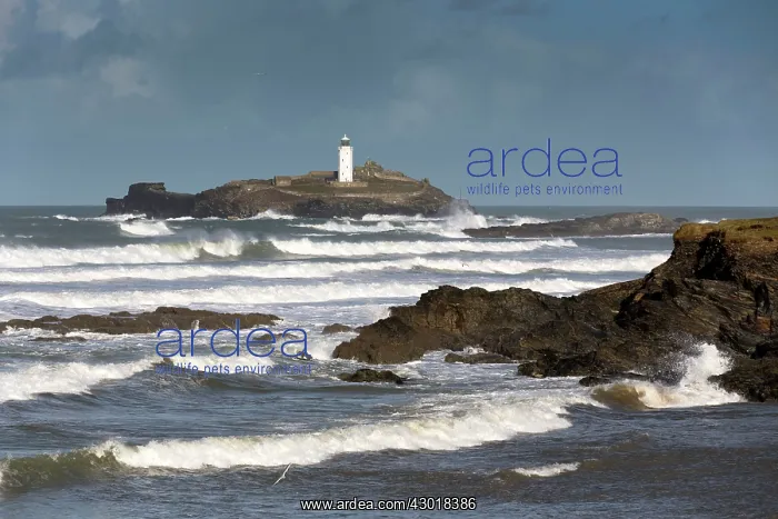 : Godrevy Lighthouse in winter storm : Godrevy Lighthouse in winter storm