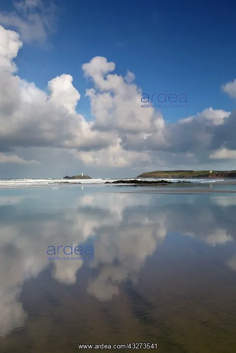 : Godrevy - with reflections on the wet sand : Godrevy - with reflections on the wet sand