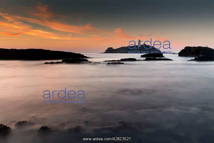 : Godrevy - Sunset : Godrevy - Sunset