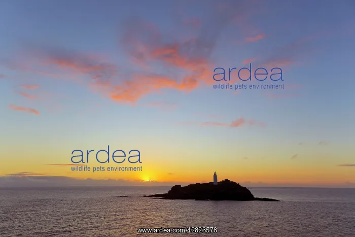 : Godrevy - Sunset : Godrevy - Sunset