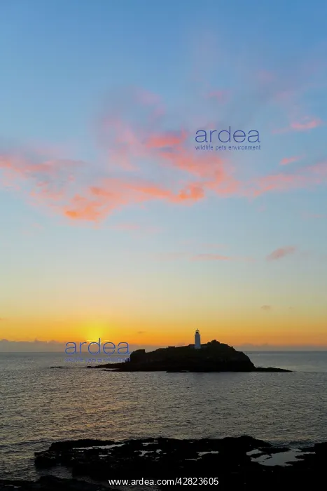 : Godrevy - Sunset : Godrevy - Sunset