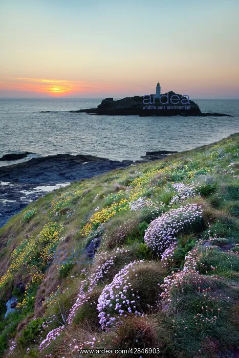  : Godrevy at sunset