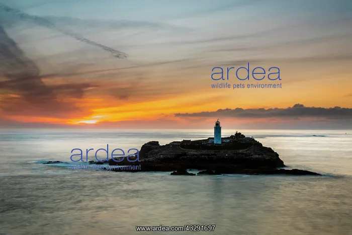 : Godrevy - Sunset - Cornwall - UK : Godrevy - Sunset - Cornwall - UK