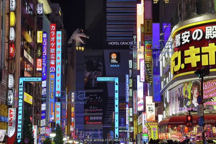 : Godzilla Road and illuminated signs of Kabukicho in Shinjuku : Godzilla Road and illuminated signs of Kabukicho in Shinjuku