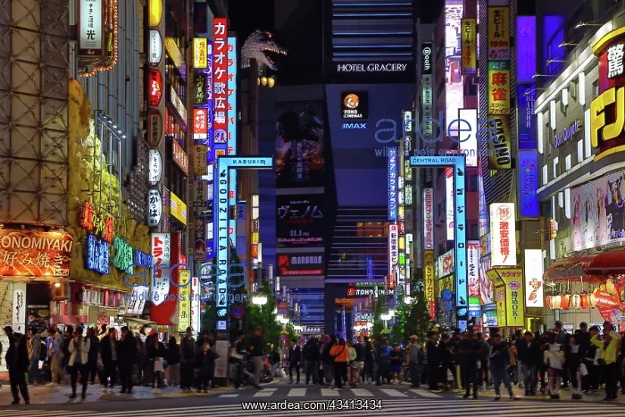 : Godzilla Road and illuminated signs of Kabukicho in Shinjuku : Godzilla Road and illuminated signs of Kabukicho in Shinjuku
