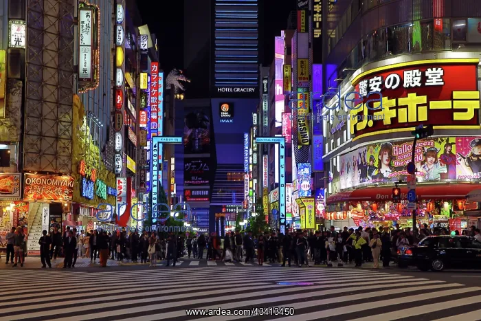  : Godzilla Road and illuminated signs of Kabukicho in Shinjuku