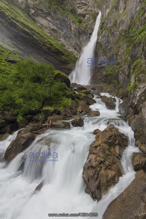 : Goessnitz waterfall - Hohe Tauern National Park - Austria : Goessnitz waterfall - Hohe Tauern National Park - Austria