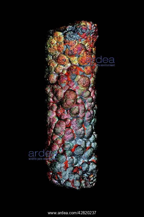 : Goethite (HFeO2) - Hydrogen iron oxide : Goethite (HFeO2) - Hydrogen iron oxide