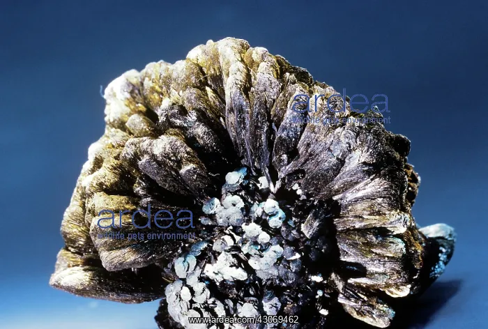 : Goethite from Lake George, Colorado : Goethite from Lake George, Colorado