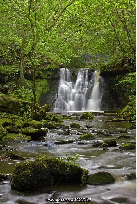 : Goit Stock Falls, near Harden, West Yorkshire, England : Goit Stock Falls, near Harden, West Yorkshire, England