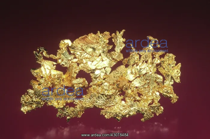 : Gold : Gold