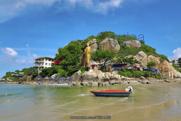 : Gold buddha statue, Khao Takiab Temple and beach : Gold buddha statue, Khao Takiab Temple and beach