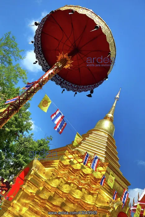 : Gold Chedi at Wat Phan On Temple in Chiang Mai, Thailand : Gold Chedi at Wat Phan On Temple in Chiang Mai, Thailand