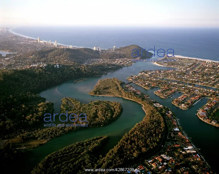 : Gold Coast with Burleigh Head & Burleigh Head National Park : Gold Coast with Burleigh Head & Burleigh Head National Park